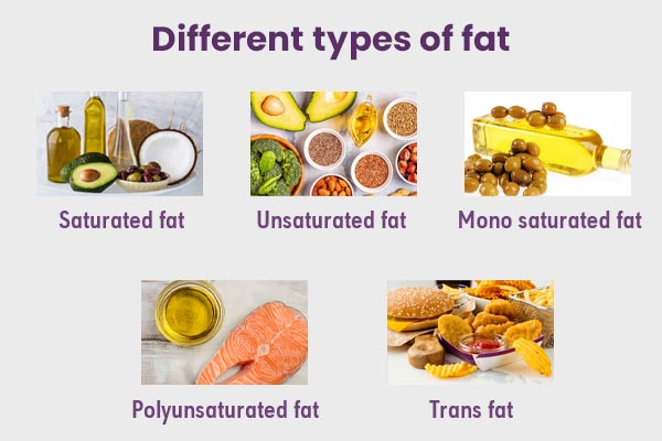 different types of fats